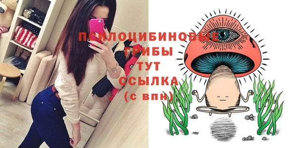 spice Вязьма
