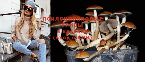 спайс Вязники