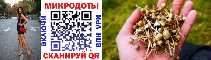 мега ONION  Певек  Галлюциногенные грибы Cubensis 